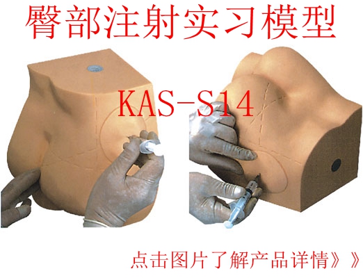 臀部注射演示模型