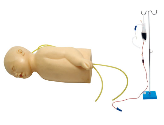 高级硅胶婴儿头部及手臂静脉注射穿刺训练模型