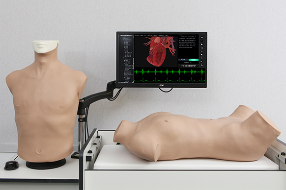 智能化心肺检查、腹部检查综合训练实验系统